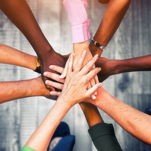 Image Not Found